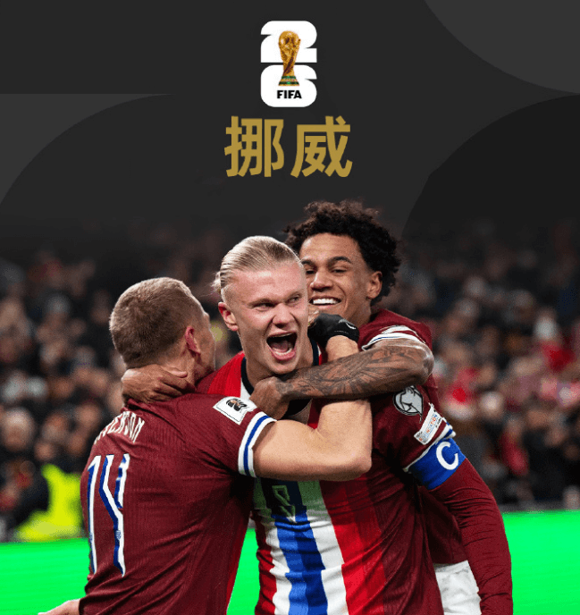 每天了解一支美加墨世界杯球队——挪威